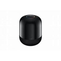 Huawei HW 2020 Speaker